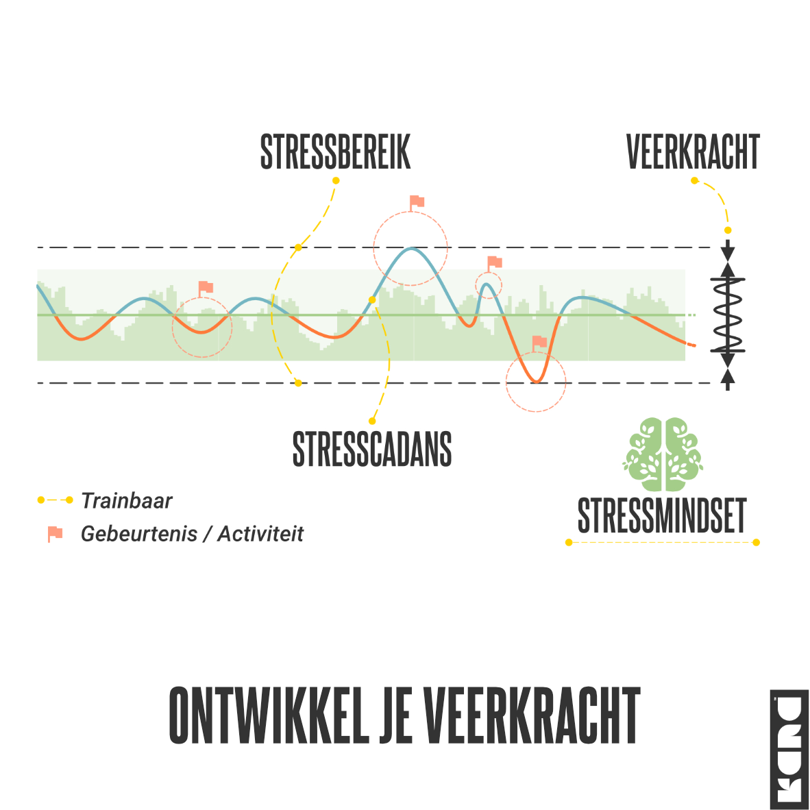 ontwikkel je veerkracht